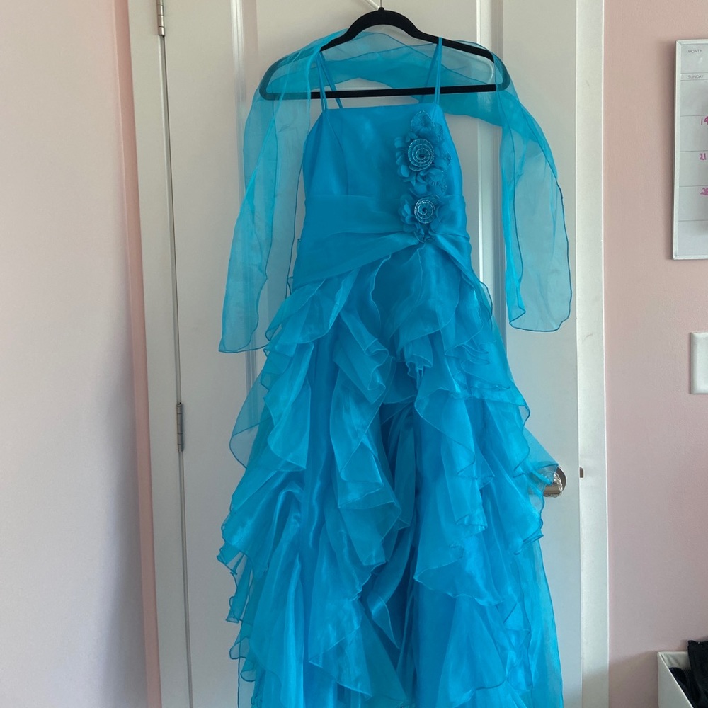 maxi vintage chiffon ball gown / prom dress